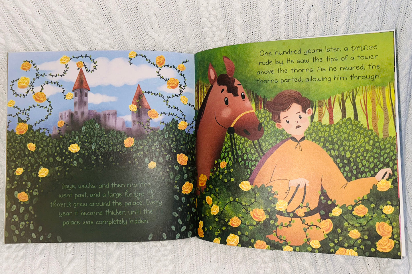 Sleeping Beauty Picture story book
