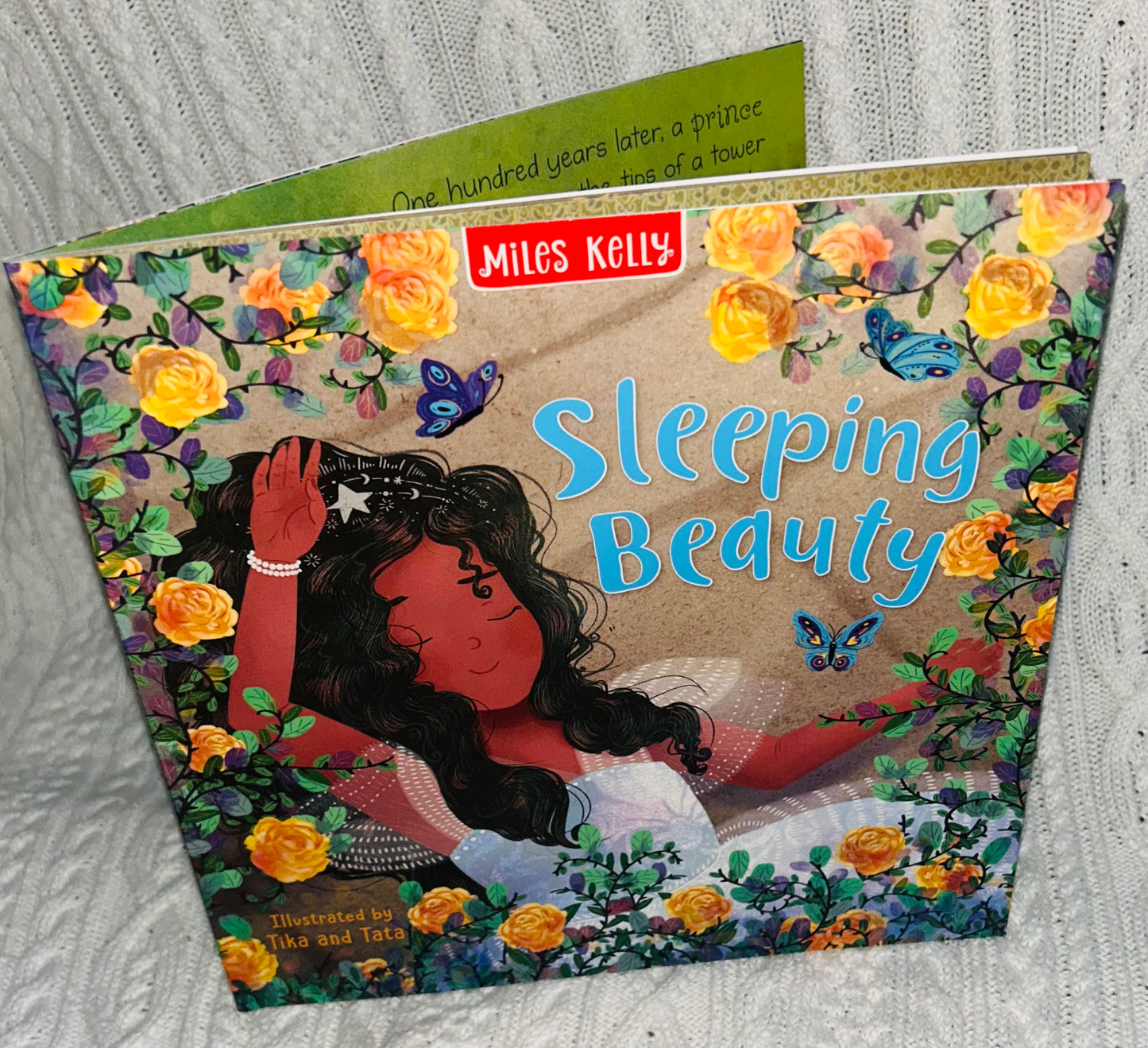 Sleeping Beauty Picture story book