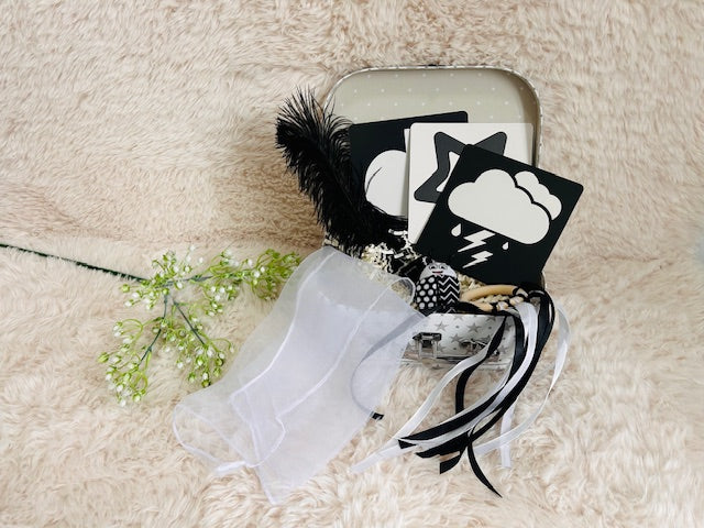Newborn Sensory Kit