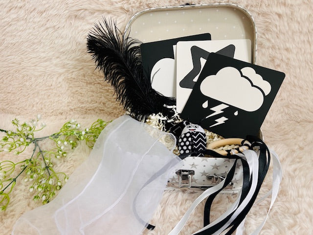Newborn Sensory Kit