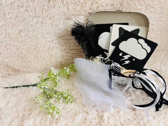 Newborn Sensory Kit