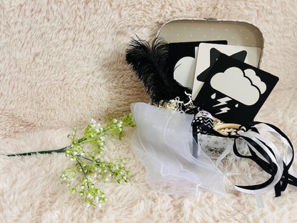 Newborn Sensory Kit