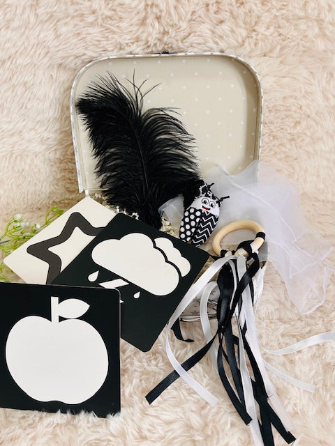 Newborn Sensory Kit
