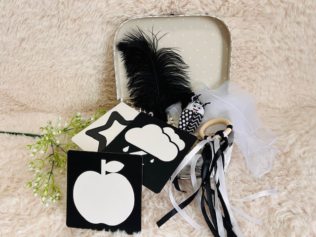 Newborn Sensory Kit