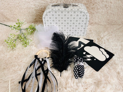 Newborn Sensory Kit