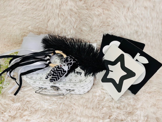 Newborn Sensory Kit