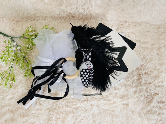 Newborn Sensory Kit